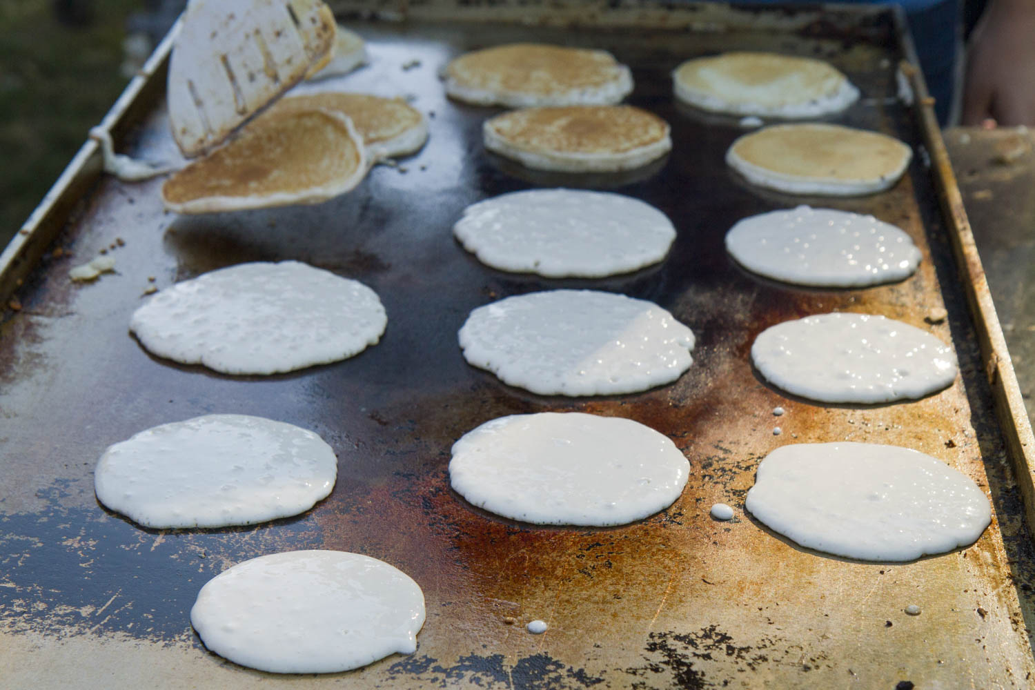 Pancakes on a griddle