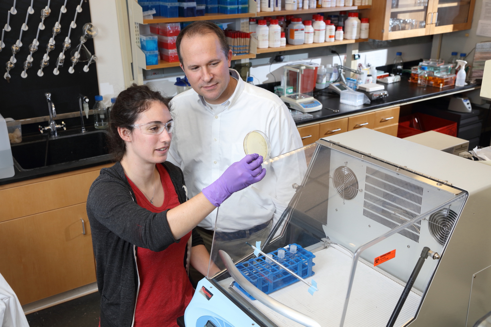 Jason Papin, a professor of biomedical engineering and principal investigator for the grant, works with Laura Dunphy, a first-year PhD student in biomedical engineering training in the Papin lab. 