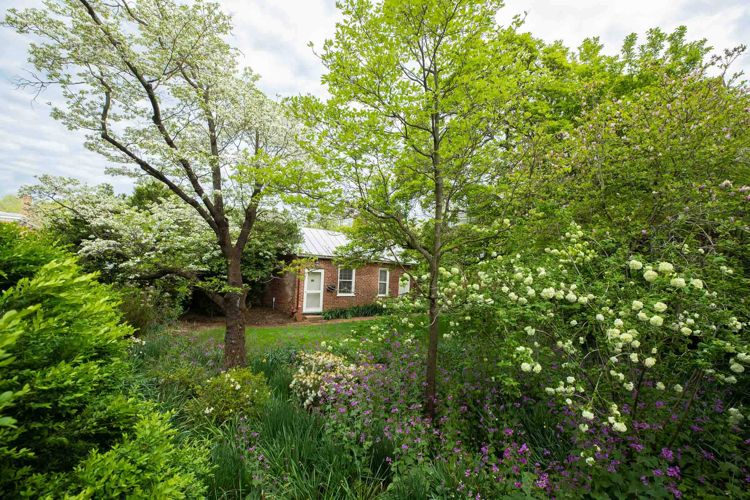 Small brick house in the background with blooming trees and flowers