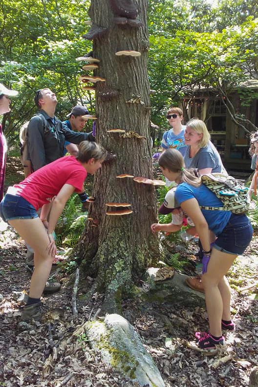 Amy Pedersen, middle right, stands at a tree with her students talking about the growths on the tree