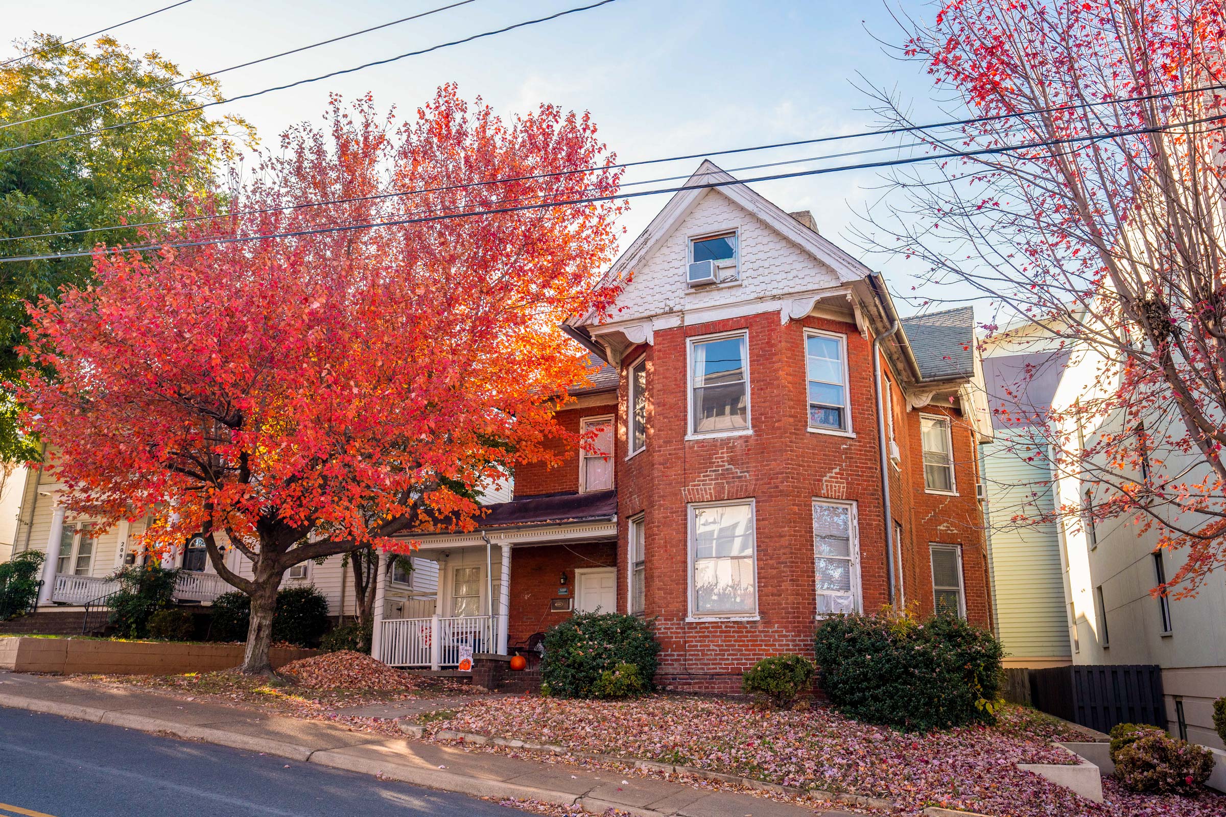 Red tree in front of a brick house