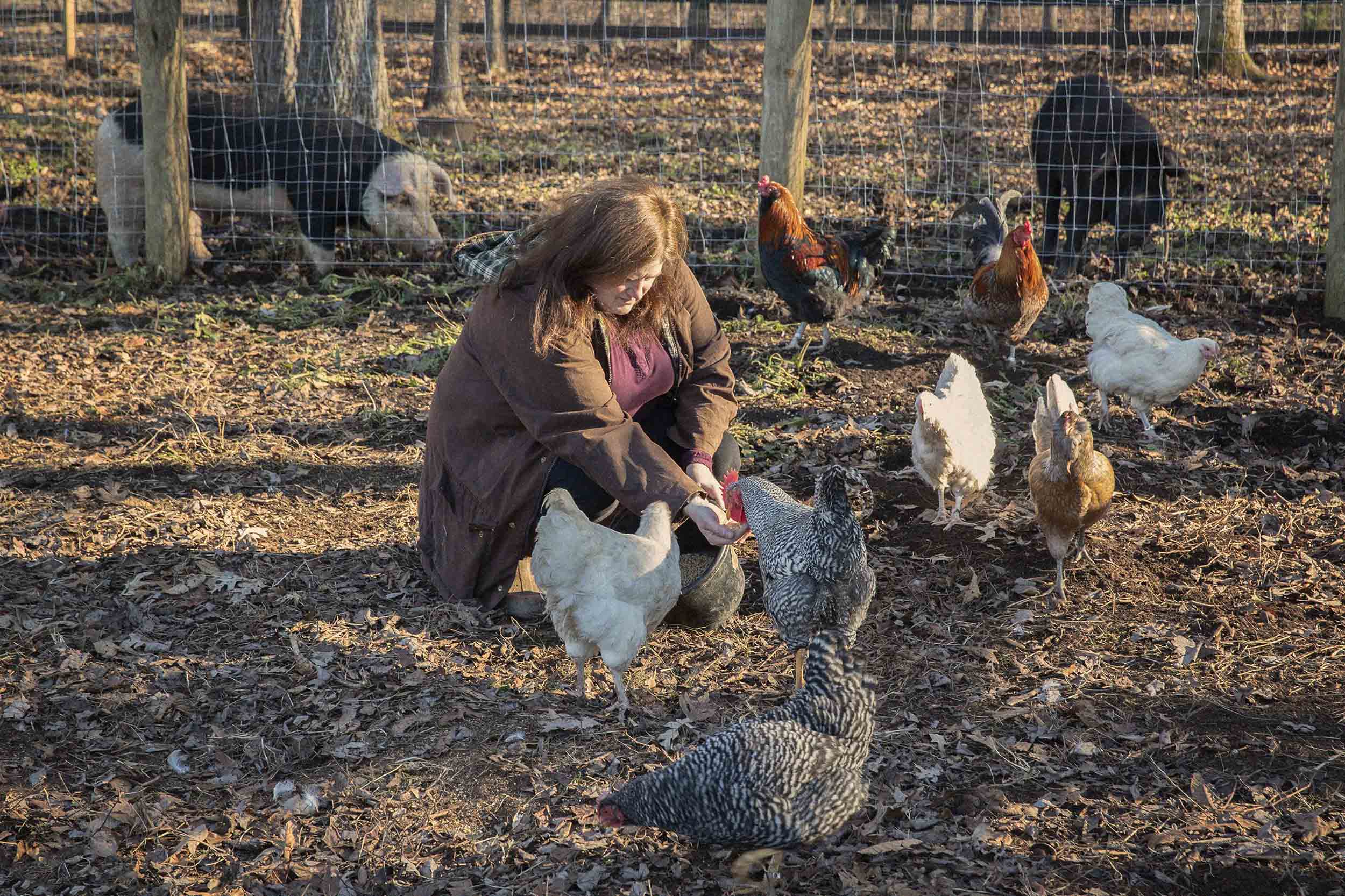Sarah Osborne-barwick bending down feeding chickens from her hand