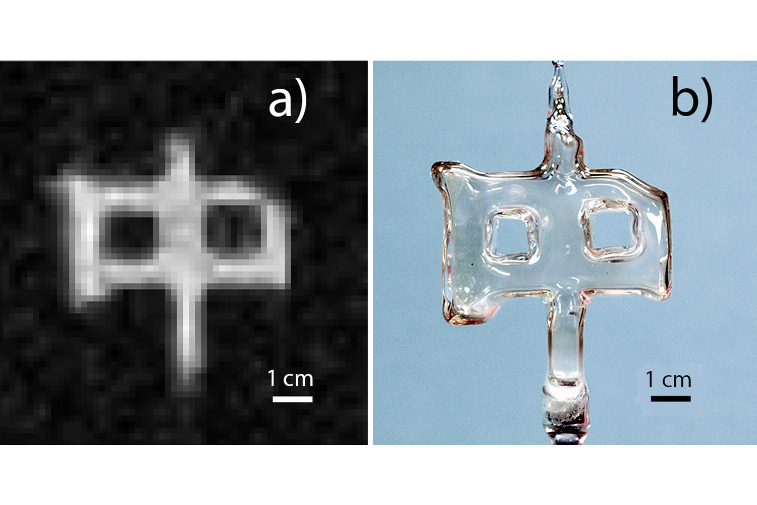 Photo A is an image of a sealed glass cell obtained by UVA physicists by combining magnetic-resonance techniques with the detection of gamma rays emitted by an isotope of xenon contained within the cell. Image B is an ordinary photograph of the glass cell.