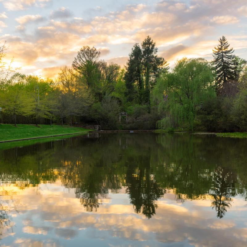 Lake reflecting the yellow grey sky and trees that surround it