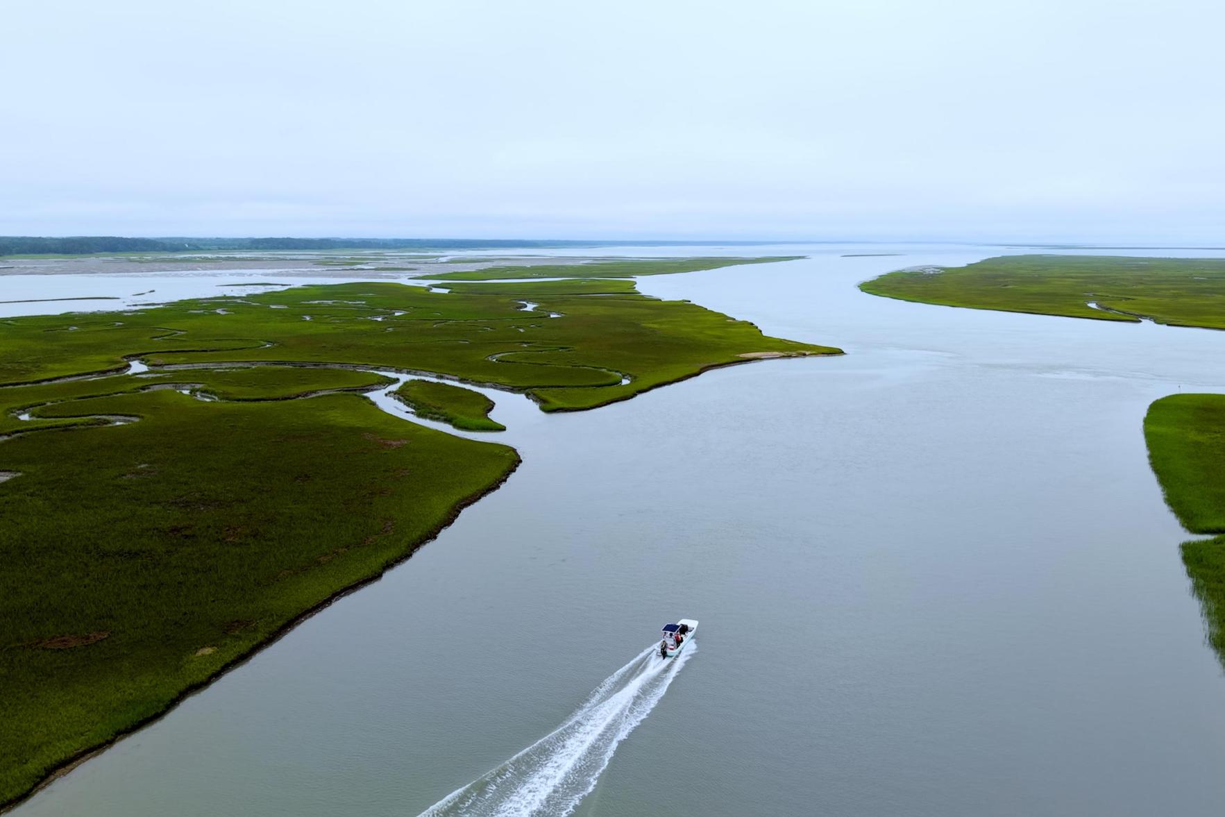 a power boat cruising the Virginia coastline