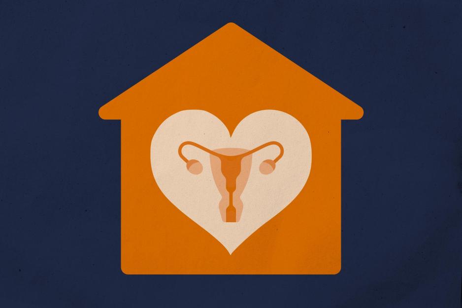An illustration of a female reproductive system inside of a heart shape inside of a house shape