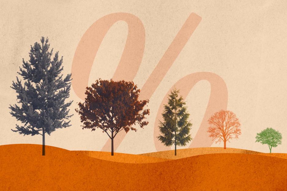 A landscape of Virginia native trees with a percentage symbol in the background
