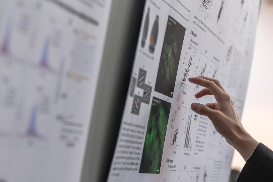 A man's hand pointing at a research poster hanging on a bulletin board