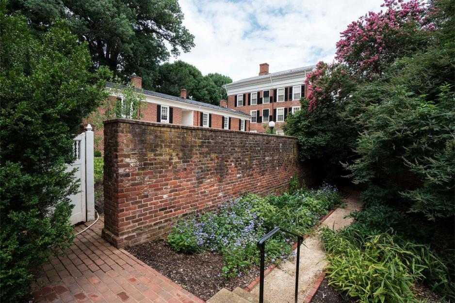 Plants and shrubs grow against a brick wall