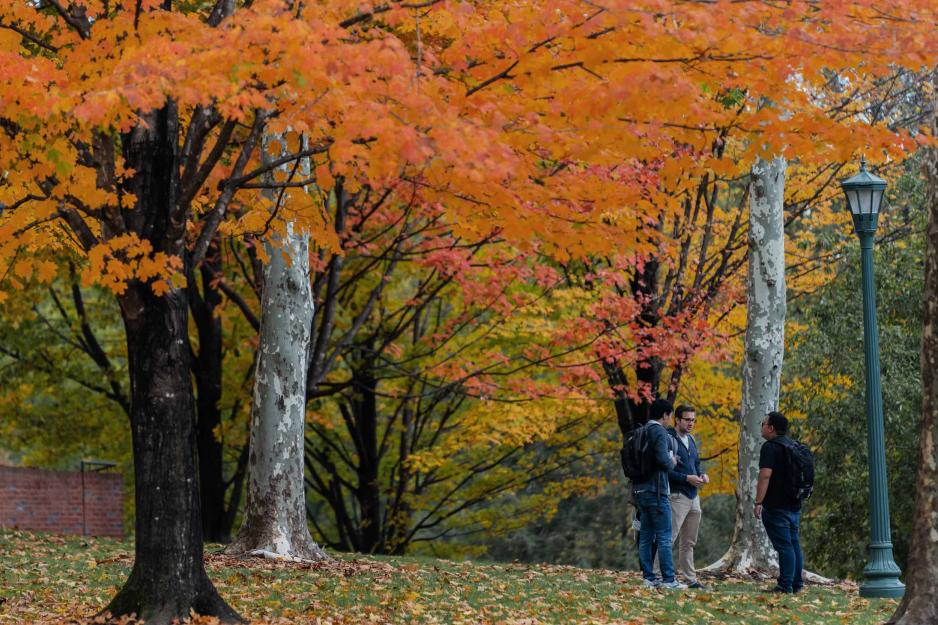 Three Law students chat under trees with bright orange, red and yellow leaves