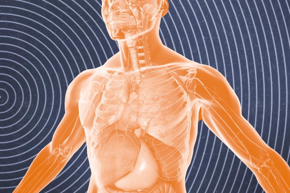Illustration of the inside of the human body.