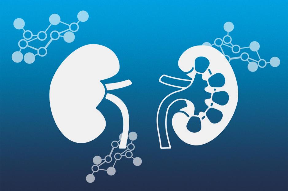 Human kidneys on a blue background with glucose molecules floating around