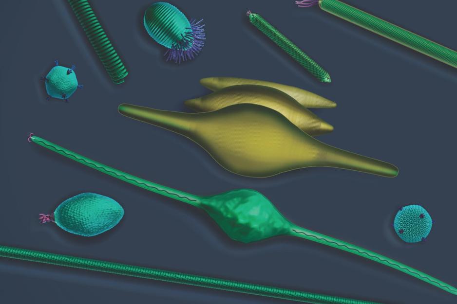 Artist impression of a long, thin virus which bulges out in the middle, like a lemon