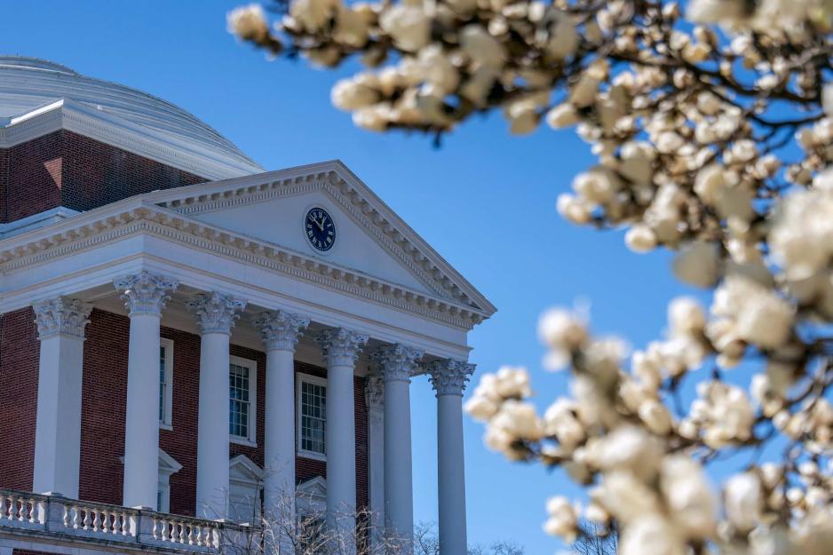 Looking up at the Rotunda from beside a magnolia tree in full bloom