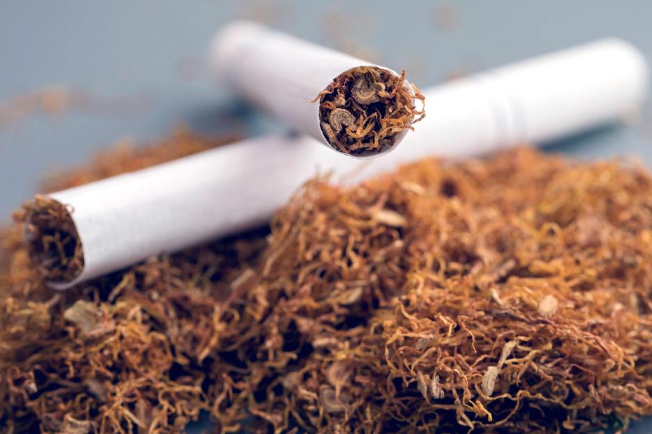 Close up of two cigarettes over a pile of tobaco