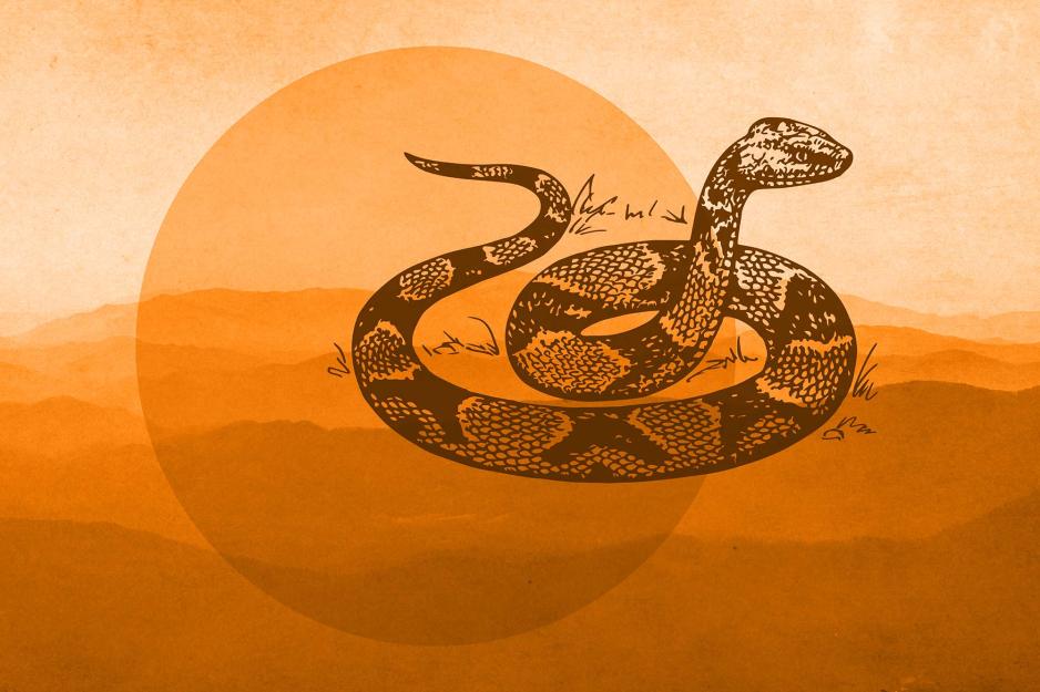 Copperhead illustration