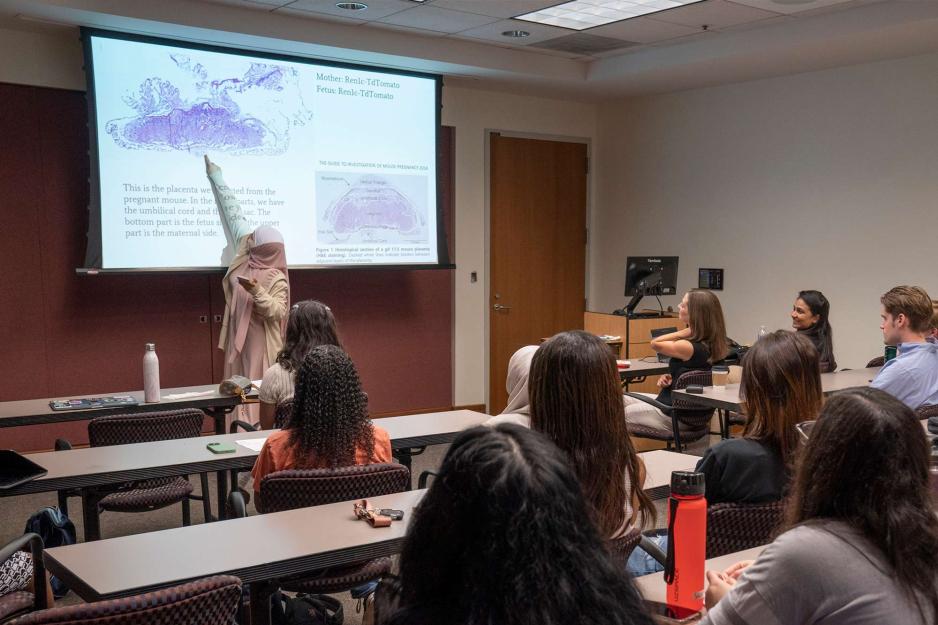 An active presentation for SOAR