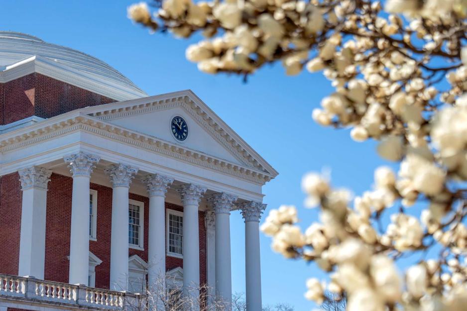 The Rotunda framed with spring buds on a clear blue day