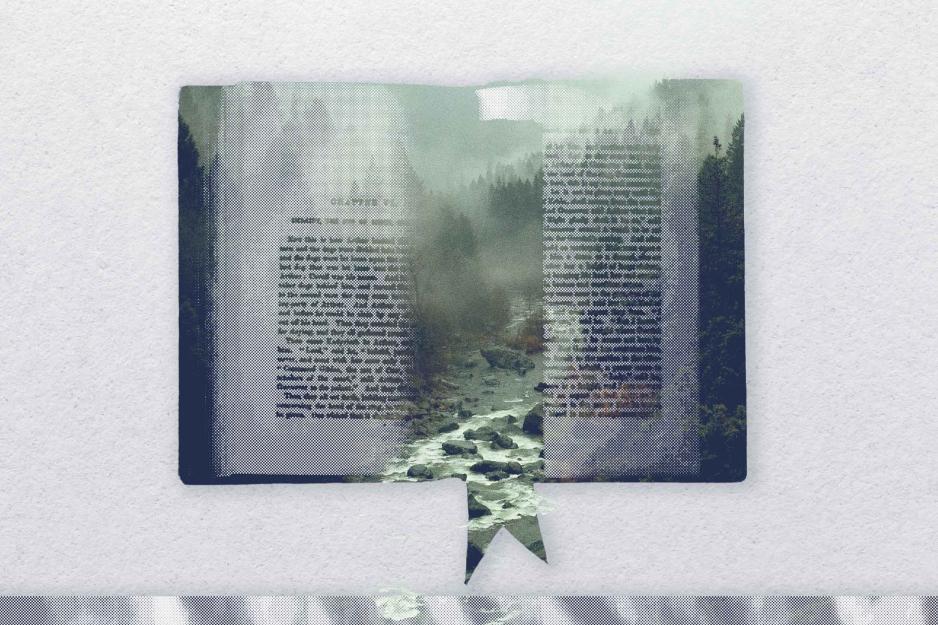 Illustration of a book overlaying a forest