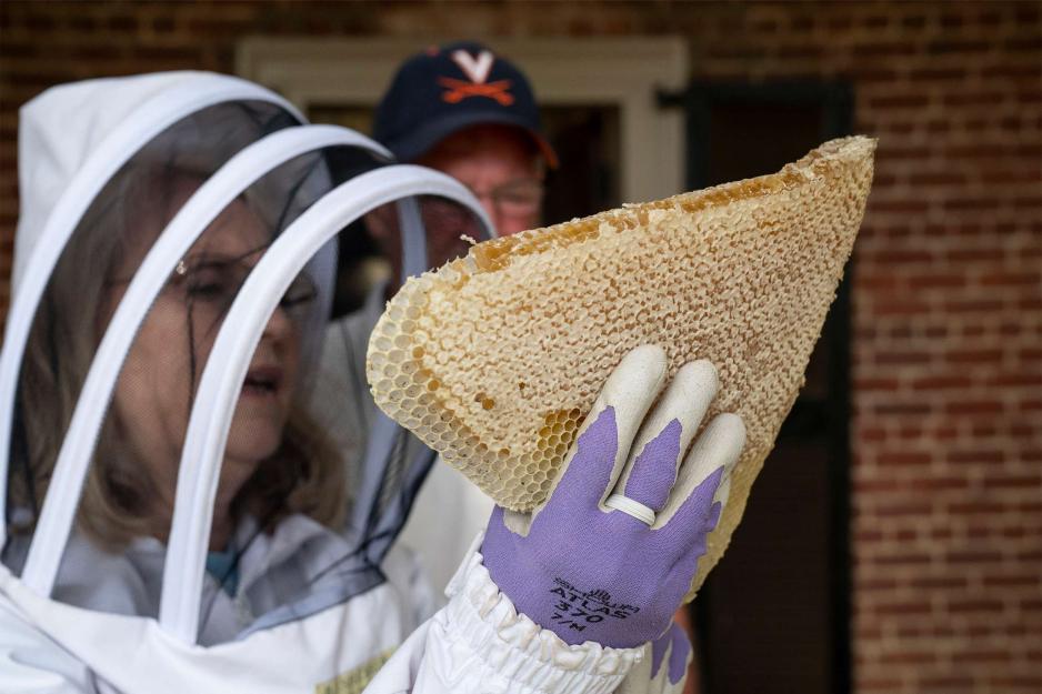 Beekeeper holds up a large piece of honey comb found at The Lawn