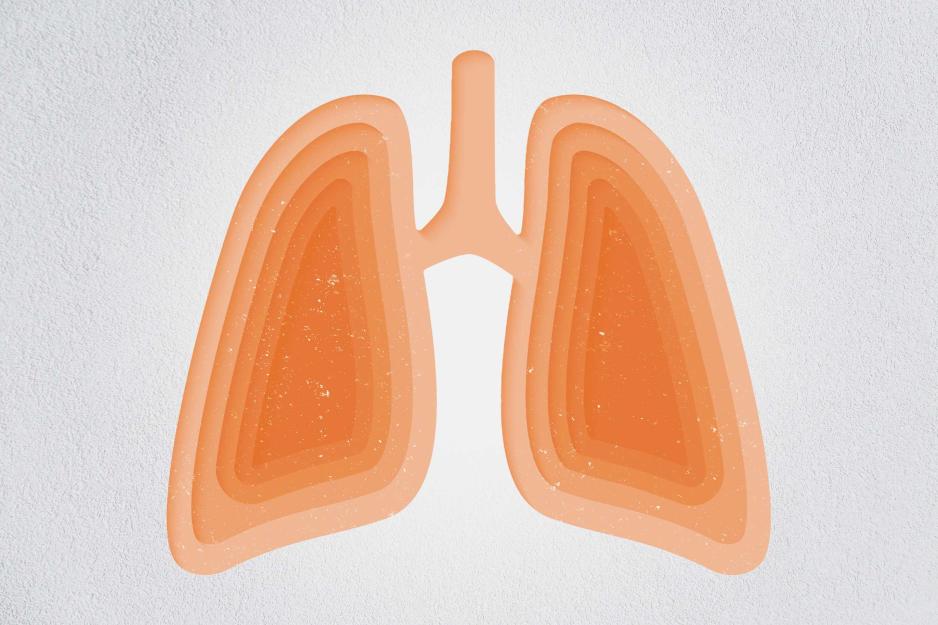 Illustration of orange lungs on a gray background
