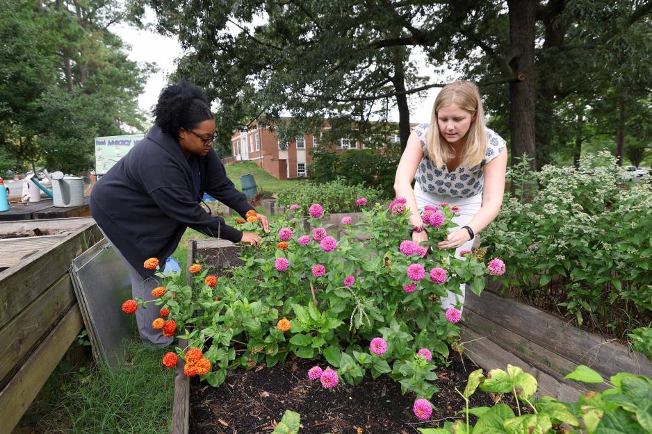 Jordyn Hicks, left, and Lela Garner tend flowers in the student garden at the intersection of Alderman and McCormick roads. 