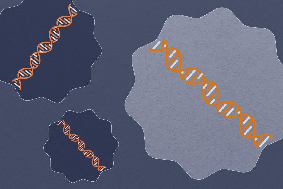 Illustration of wrinkly cells that contain DNA strands