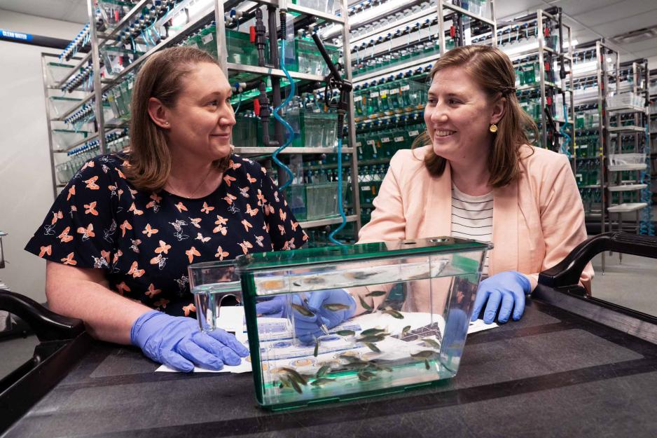 Two women wearing blue gloves talk to each other behind a small fishtank