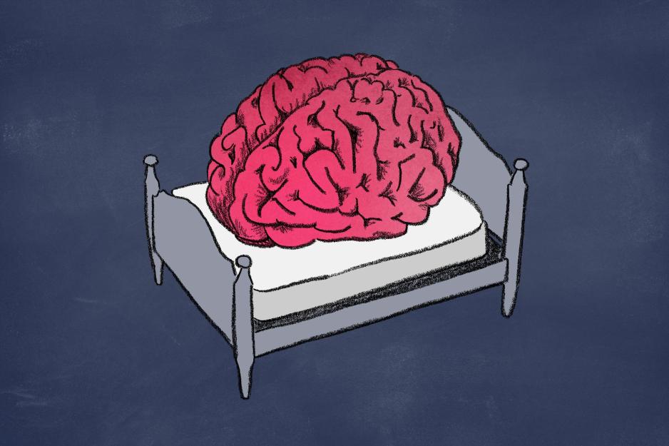 Drawing of a human brain on a small bed