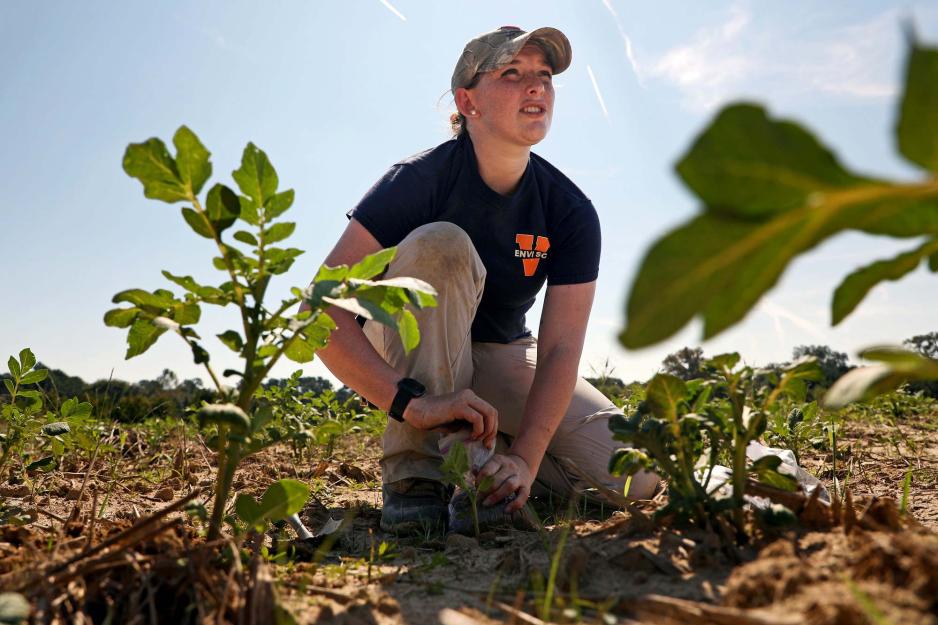 Student planting plants