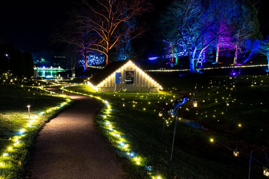 Walking path lined with bright lights