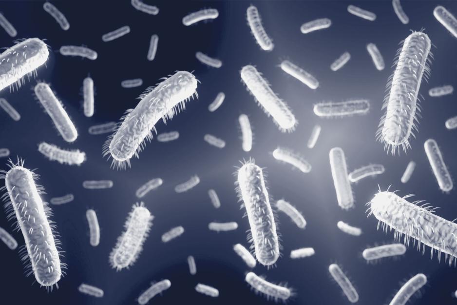 Illustration of hairy, pill shaped bacteria