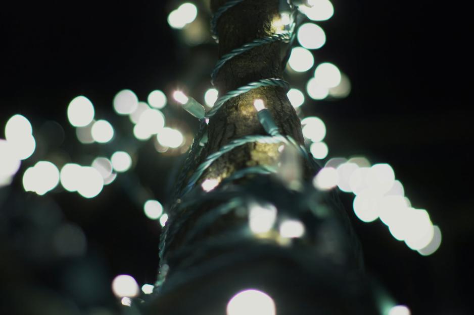 Lights wrapped around a railing at the Lawn