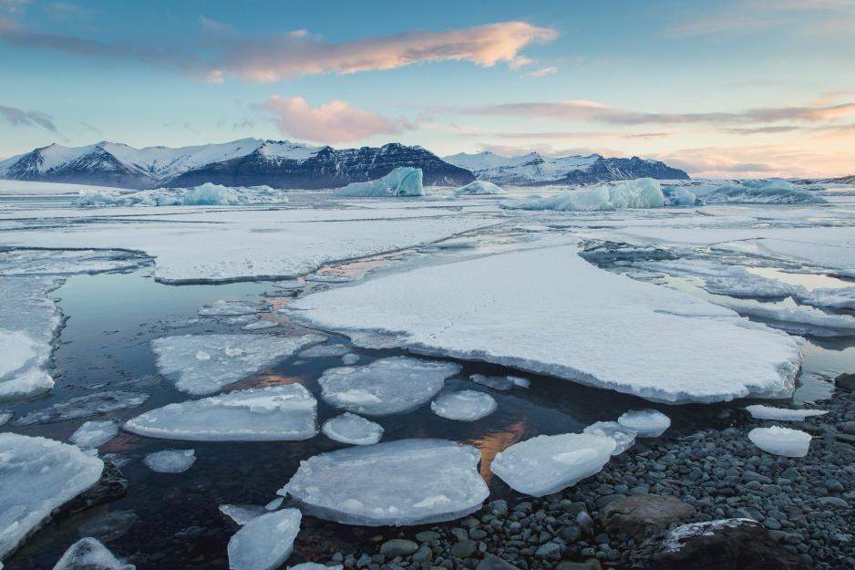 Sheets of ice floating on the ocean