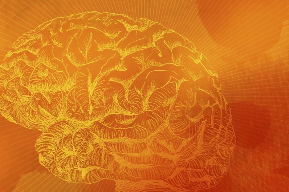 Illustration of a brain
