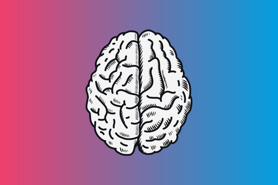 Illustration of a brain