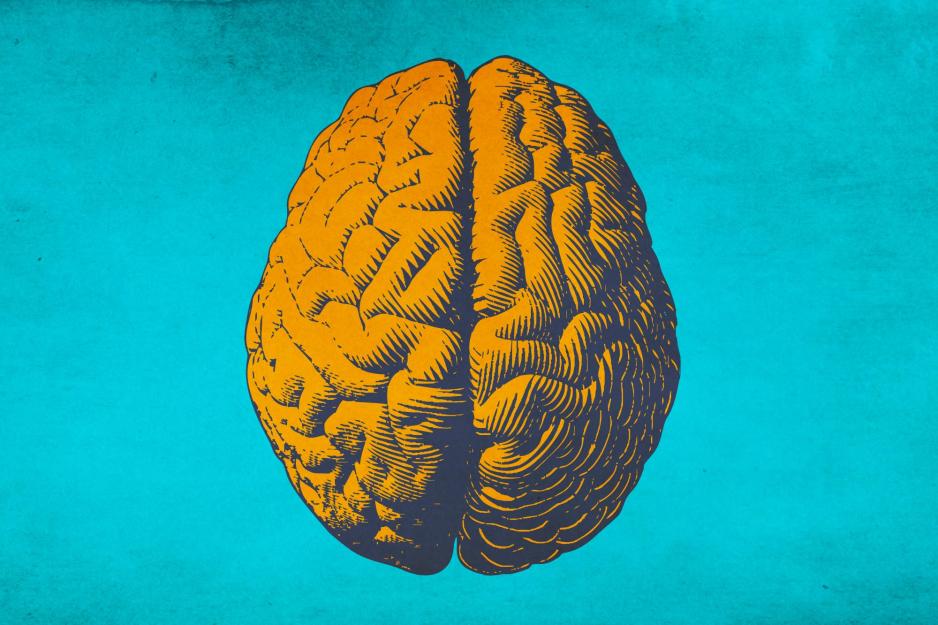 Illustration of a brain that is colored orange