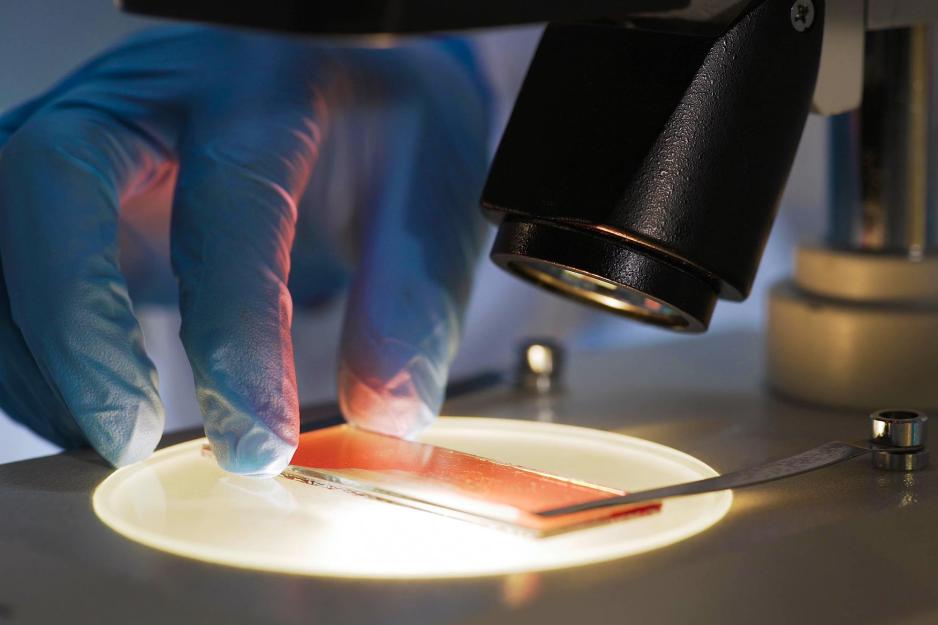 slide on a microscope base with a light shining through