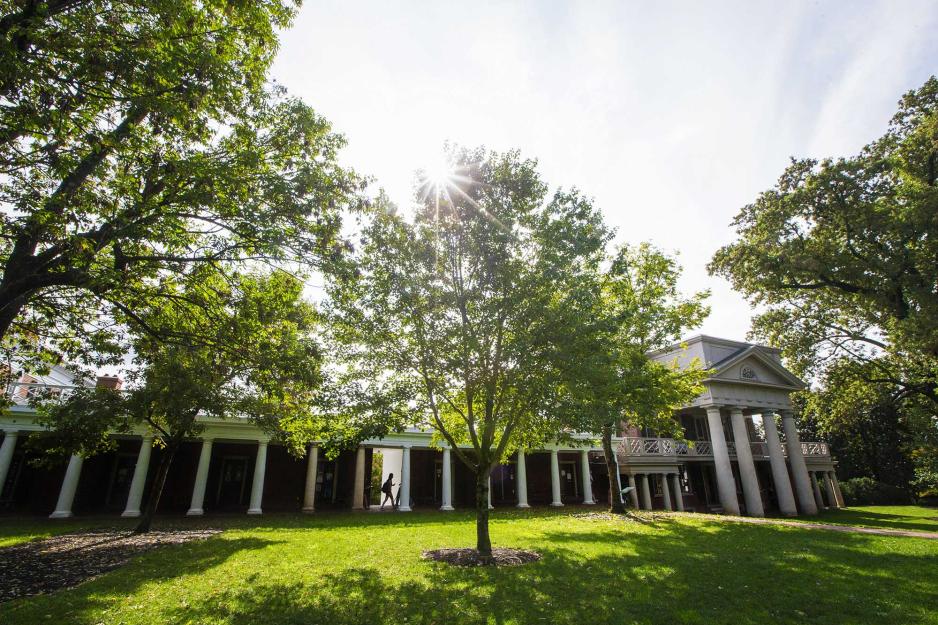 Building on the Lawn
