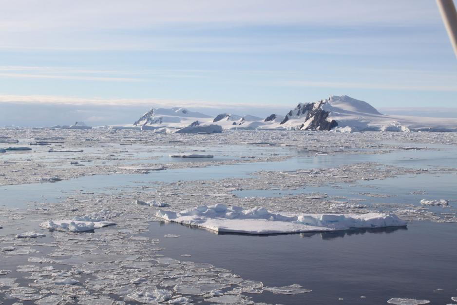Ice floating on the water at Charcot Island