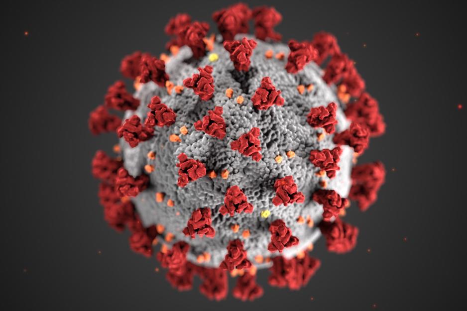 red, orange, yellow, and grey virus illustration