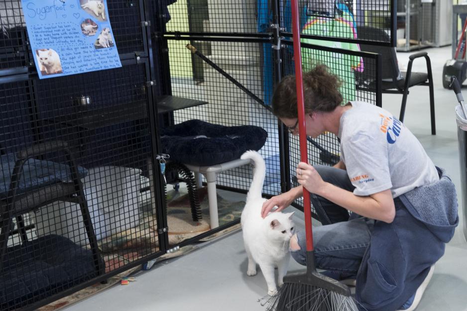 Kate Beach rubs a white cate