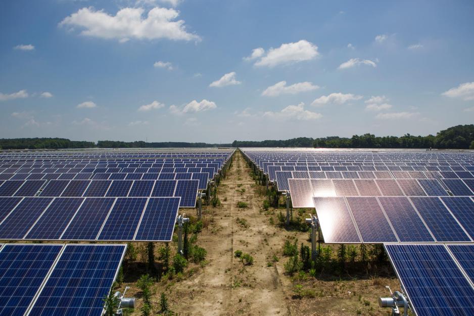 Solar panels in a field