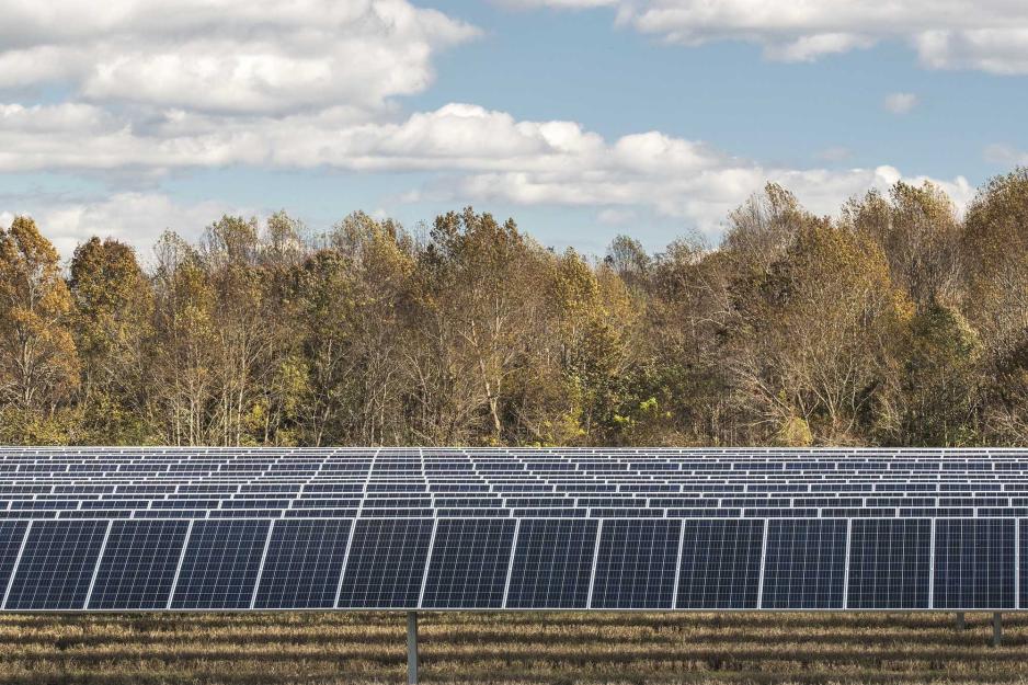 field filled with solar panels