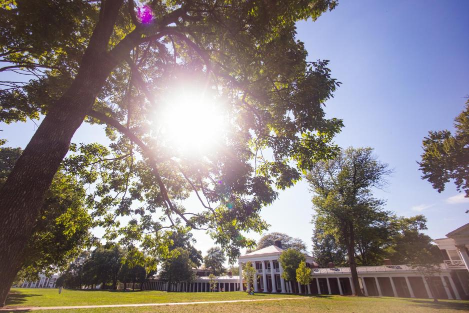View of the Lawn buildings while the sun shines through a big tree on the lawn