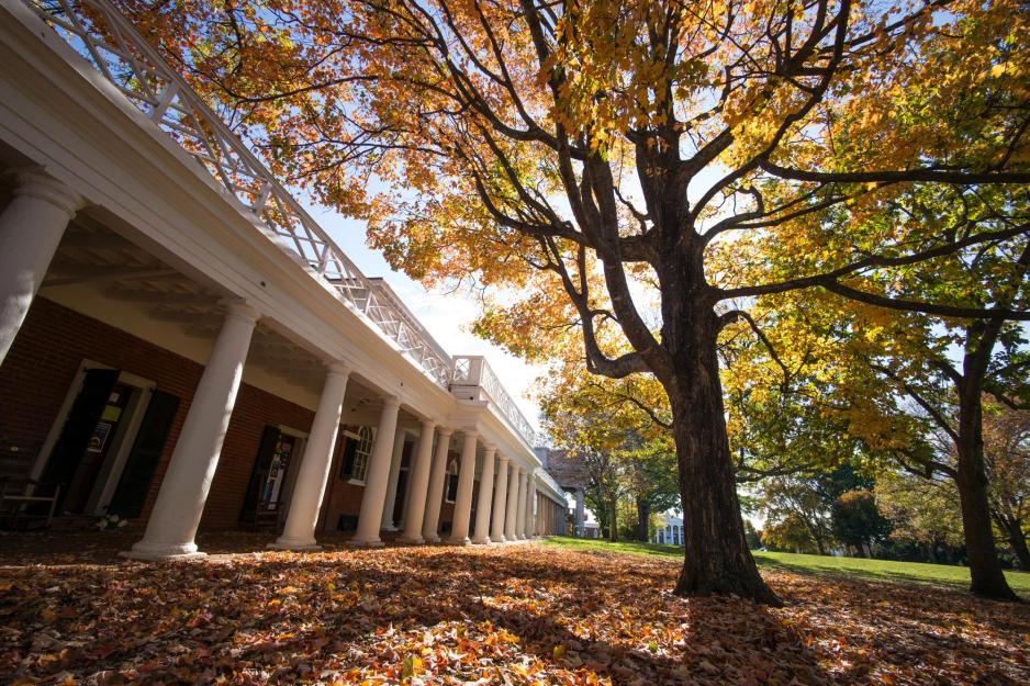 Fall foliage on the Lawn