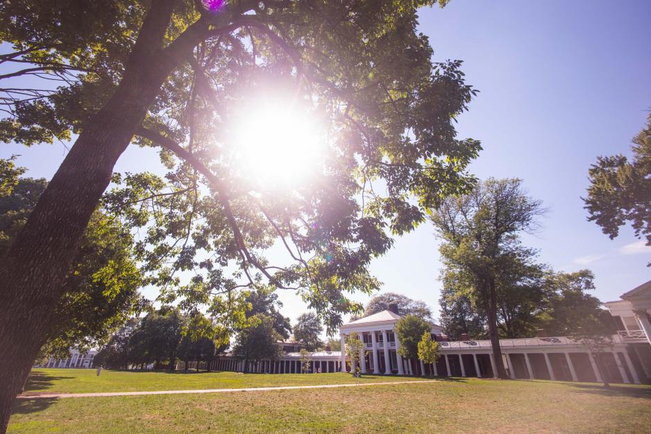 Sun coming through tree branches on the Lawn