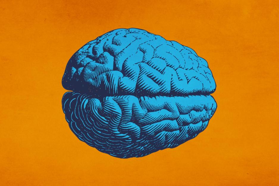 illustration of a brain