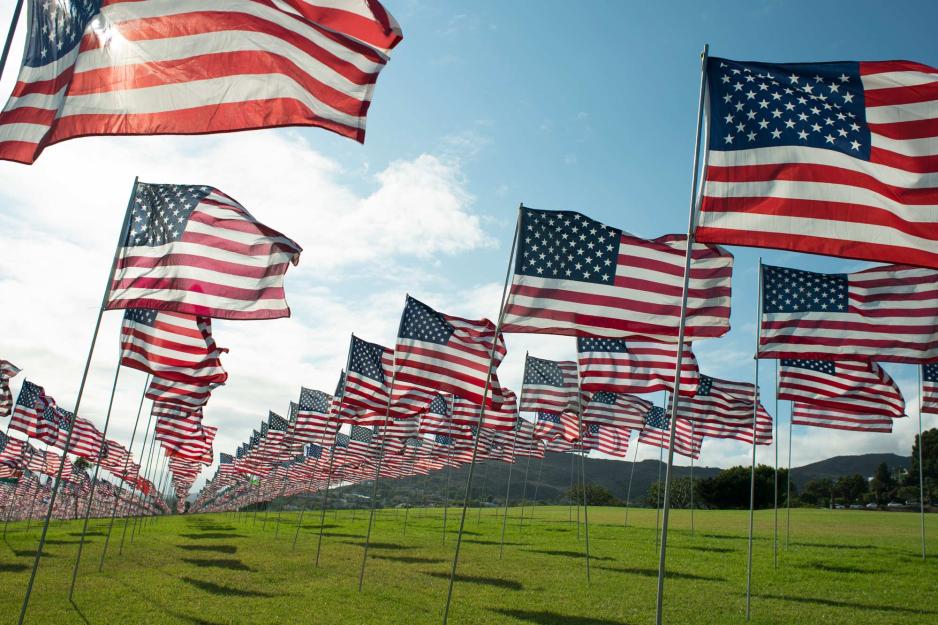 A field with The United States of America Flags flying in long rows