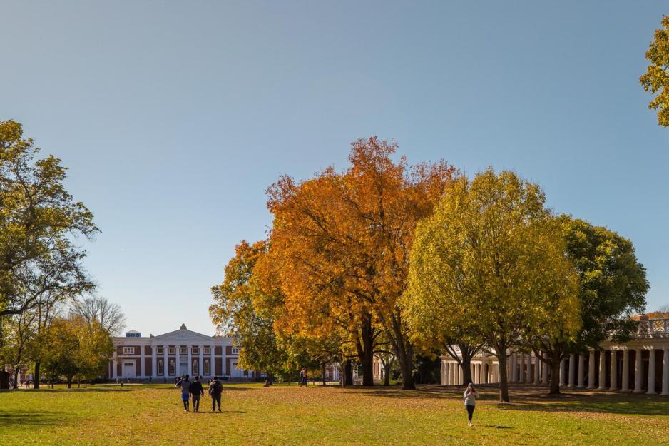 Yellow and orange trees on the Lawn